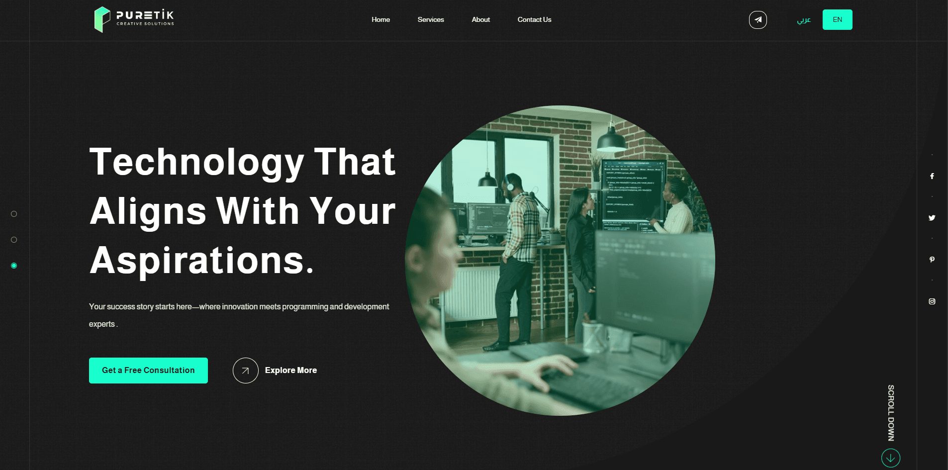 PureTik website